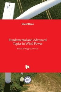 bokomslag Fundamental And Advanced Topics In Wind Power