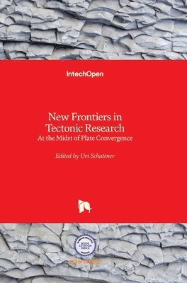 bokomslag New Frontiers in Tectonic Research: At the Midst of Plate Convergence