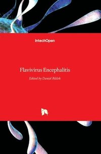 bokomslag Flavivirus Encephalitis