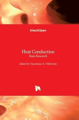 Jos and #233; Joaquim Ribeiro da Rocha, Jose Ribeiro Da Rocha, José Ribeiro Da Rocha - Endoscopic Procedures in Colon and Rectum, Inbunden