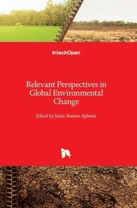 bokomslag Relevant Perspectives In Global Environmental Change