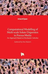 bokomslag Computational Modelling Of Multi-scale Solute Dispersion In Porous Media