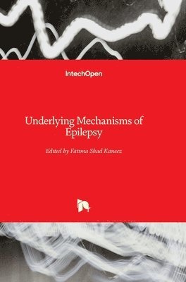 bokomslag Underlying Mechanisms of Epilepsy