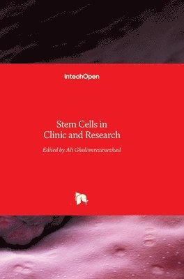 Ali Gholamrezanezhad - Stem Cells in Clinic and Research, Inbunden