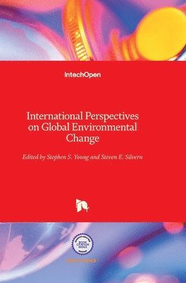 Stephen S. Young, Steven E. Silvern, Steven Silvern, Stephen Young - International Perspectives on Global Environmental Change, Inbunden
