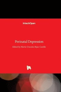 bokomslag Perinatal Depression