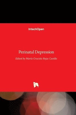 Mar and #237;a Graciela Rojas Castillo, María Graciela Rojas Castillo - Perinatal Depression, Inbunden