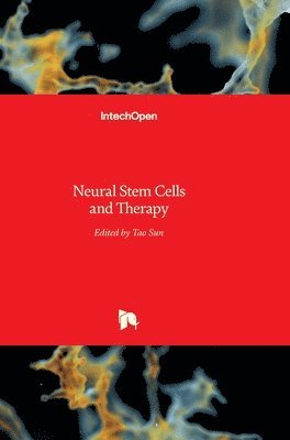 bokomslag Neural Stem Cells And Therapy