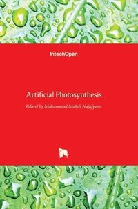 bokomslag Artificial Photosynthesis