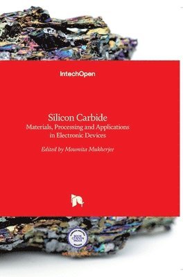 Moumita Mukherjee - Silicon Carbide, Inbunden