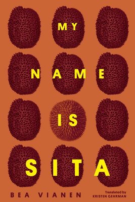 My Name Is Sita 1