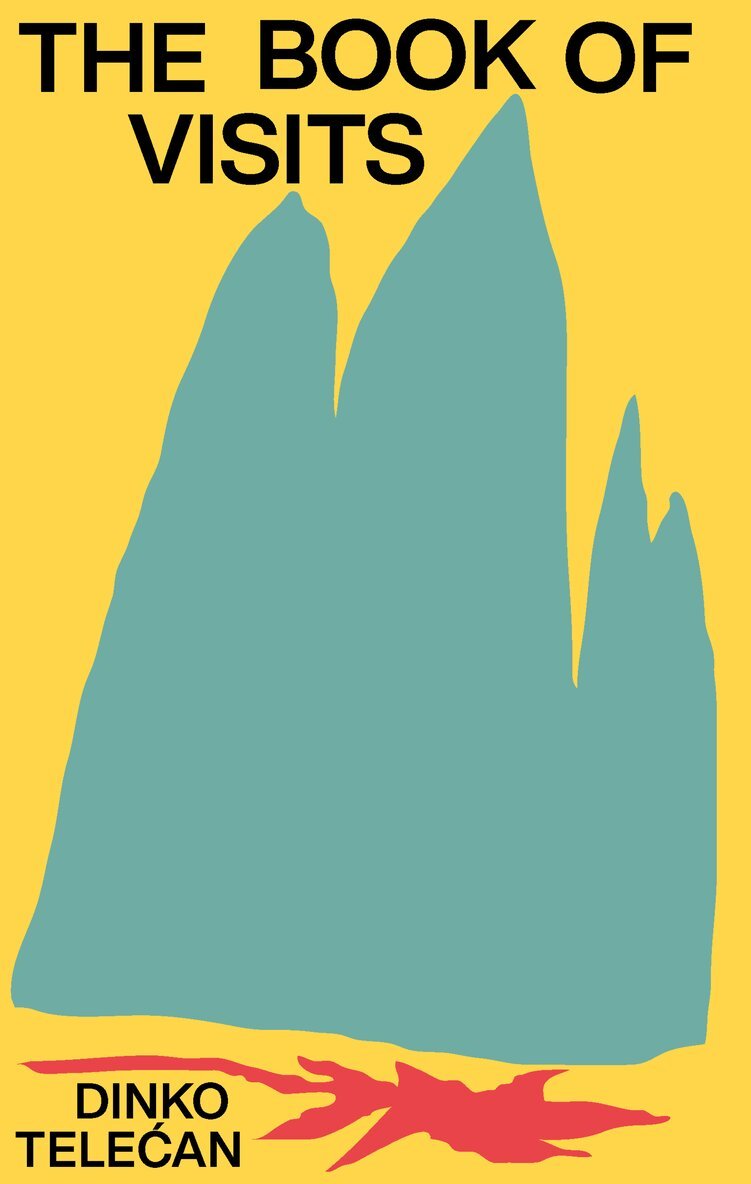 Dinko Telecan - Book of Visits, Inbunden