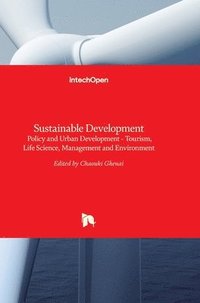 bokomslag Sustainable Development