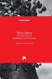 bokomslag Brain Injury: Functional Aspects, Rehabilitation and Prevention