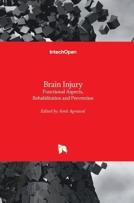bokomslag Brain Injury: Functional Aspects, Rehabilitation and Prevention