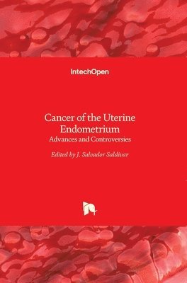 bokomslag Cancer of the Uterine Endometrium: Advances and Controversies