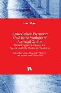 bokomslag Lignocellulosic Precursors Used In The Synthesis Of Activated Carbon