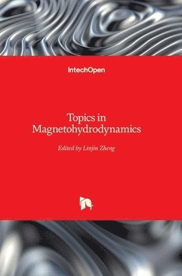 Linjin Zheng - Topics in Magnetohydrodynamics, Inbunden