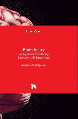 bokomslag Brain Injury: Pathogenesis, Monitoring, Recovery and Management