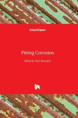 Pitting Corrosion 1