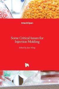 bokomslag Some Critical Issues For Injection Molding