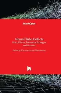 bokomslag Neural Tube Defects