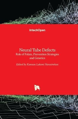 bokomslag Neural Tube Defects