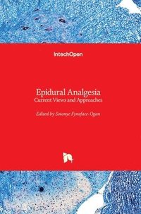 bokomslag Epidural Analgesia: Current Views and Approaches