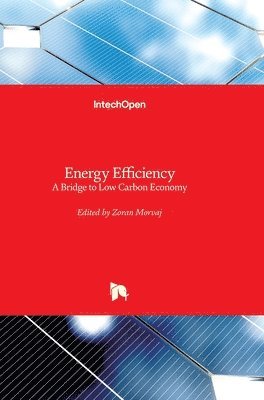 bokomslag Energy Efficiency