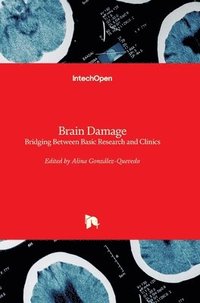 bokomslag Brain Damage: Bridging Between Basic Research and Clinics
