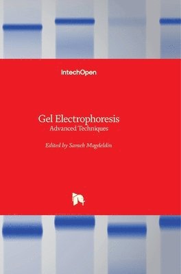 Gel Electrophoresis