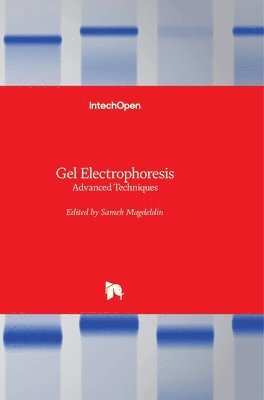 Gel Electrophoresis 1