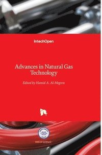 bokomslag Advances In Natural Gas Technology