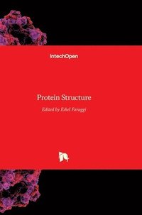 bokomslag Protein Structure