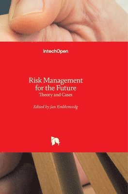 bokomslag Risk Management For The Future