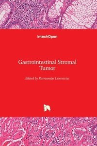 bokomslag Gastrointestinal Stromal Tumor