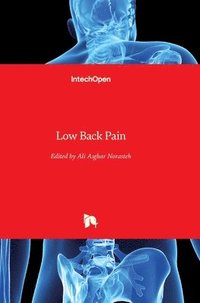 bokomslag Low Back Pain