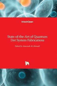 bokomslag State-Of-The-Art Of Quantum Dot System Fabrications