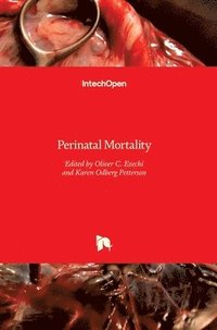 bokomslag Perinatal Mortality