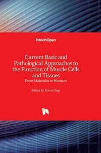 bokomslag Current Basic And Pathological Approaches To The Function Of Muscle Cells And Tissues