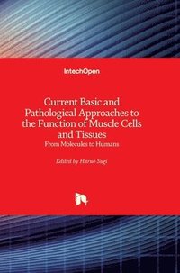 bokomslag Current Basic and Pathological Approaches to the Function of Muscle Cells and Tissues