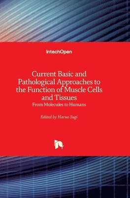 bokomslag Current Basic and Pathological Approaches to the Function of Muscle Cells and Tissues