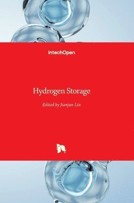 Jianjun Liu - Hydrogen Storage, Inbunden