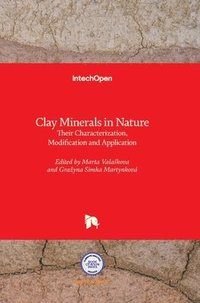 bokomslag Clay Minerals In Nature