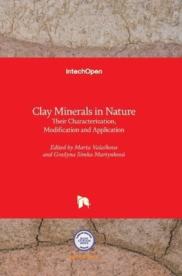 bokomslag Clay Minerals in Nature: Their Characterization, Modification and Application