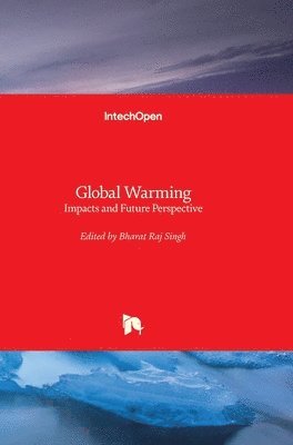 bokomslag Global Warming