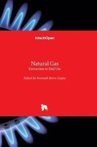 bokomslag Natural Gas: Extraction to End Use