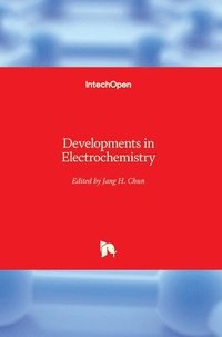 bokomslag Developments in Electrochemistry