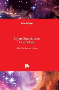 bokomslag Open Questions In Cosmology