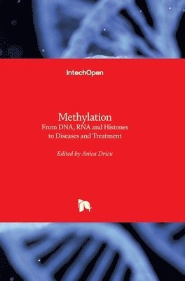 bokomslag Methylation: From DNA, RNA and Histones to Diseases and Treatment